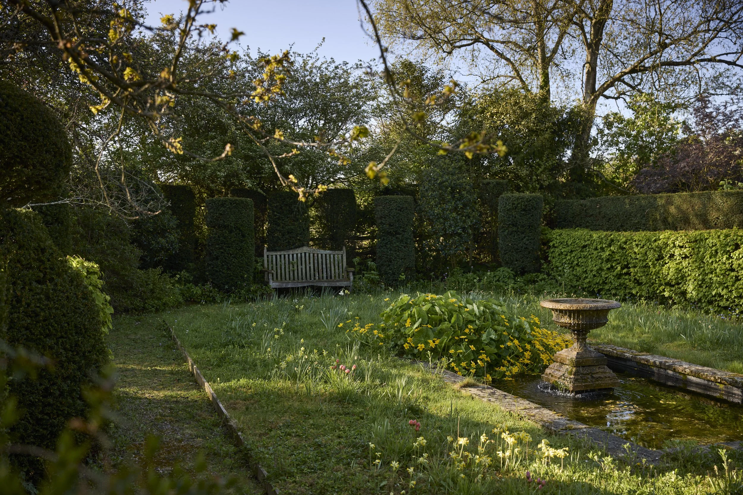 260422_Rustling_End_Herts_Spring_00666.jpg