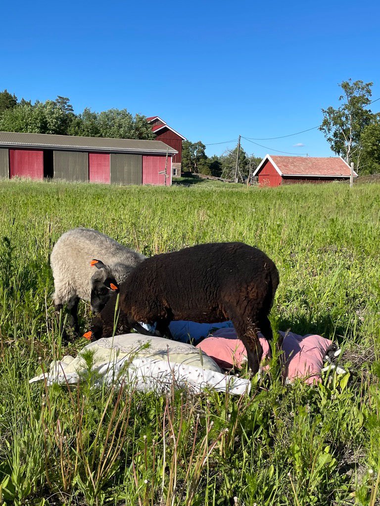 Näyttely H-K_0006_26B1F7CF-7E9C-47C5-A32D-3F5111730A62_1_105_c.jpg