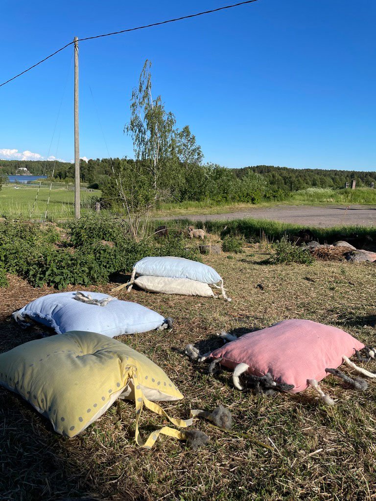 Näyttely H-K_0007_7579F164-B805-4214-A62B-3E967A2E9C25_1_105_c.jpg