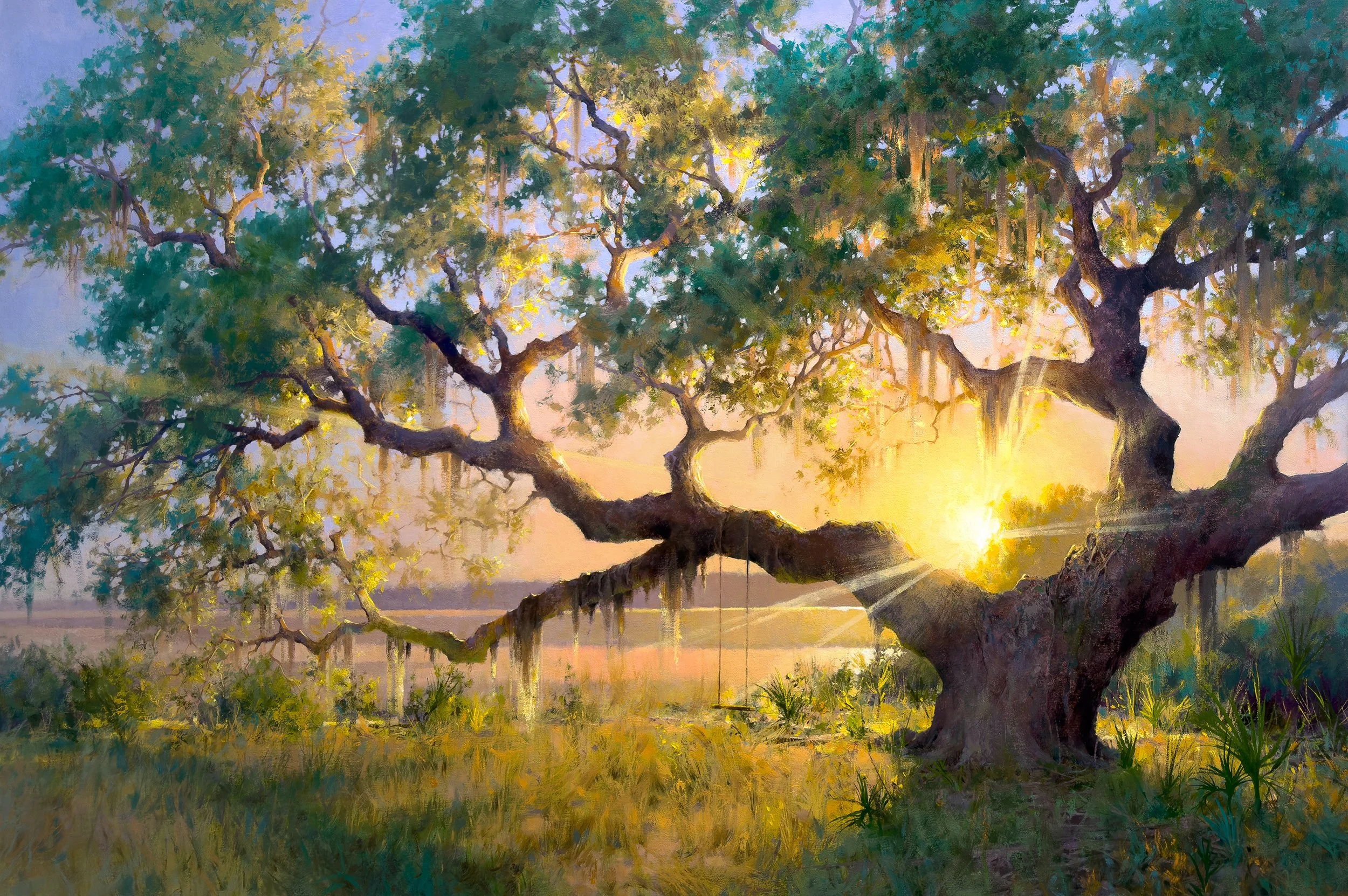 WHERE LIGHT AND NATURE PLAY