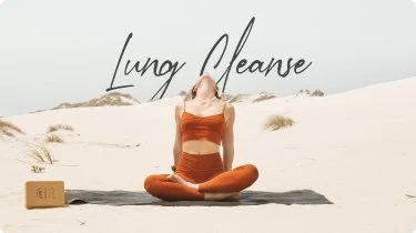 image section 20 D.jpg