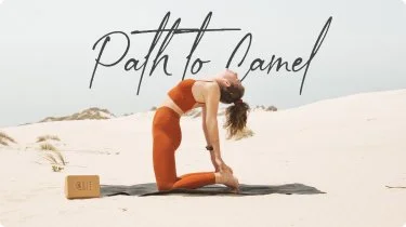 image section 20 O.jpg