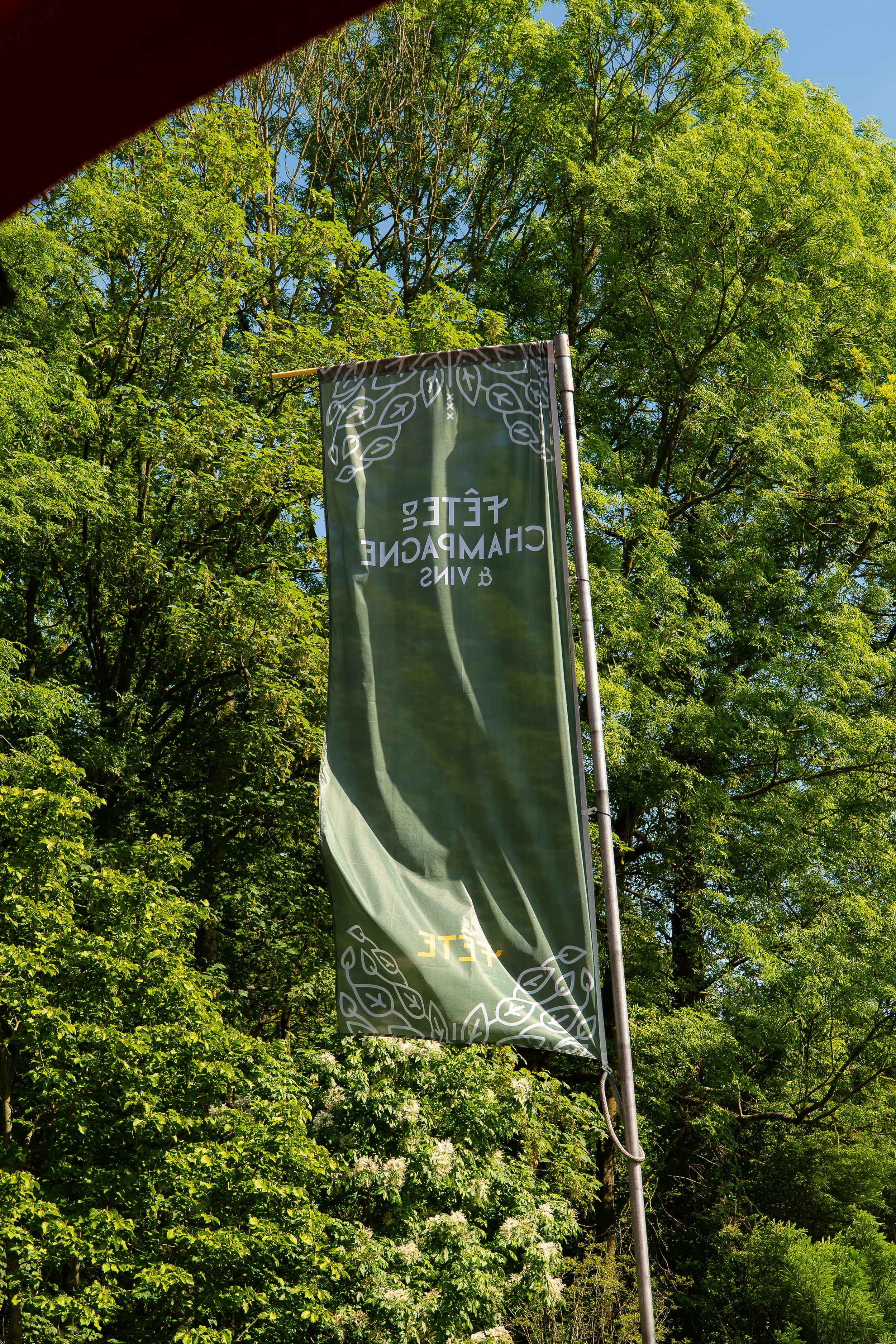 P1328752.jpg