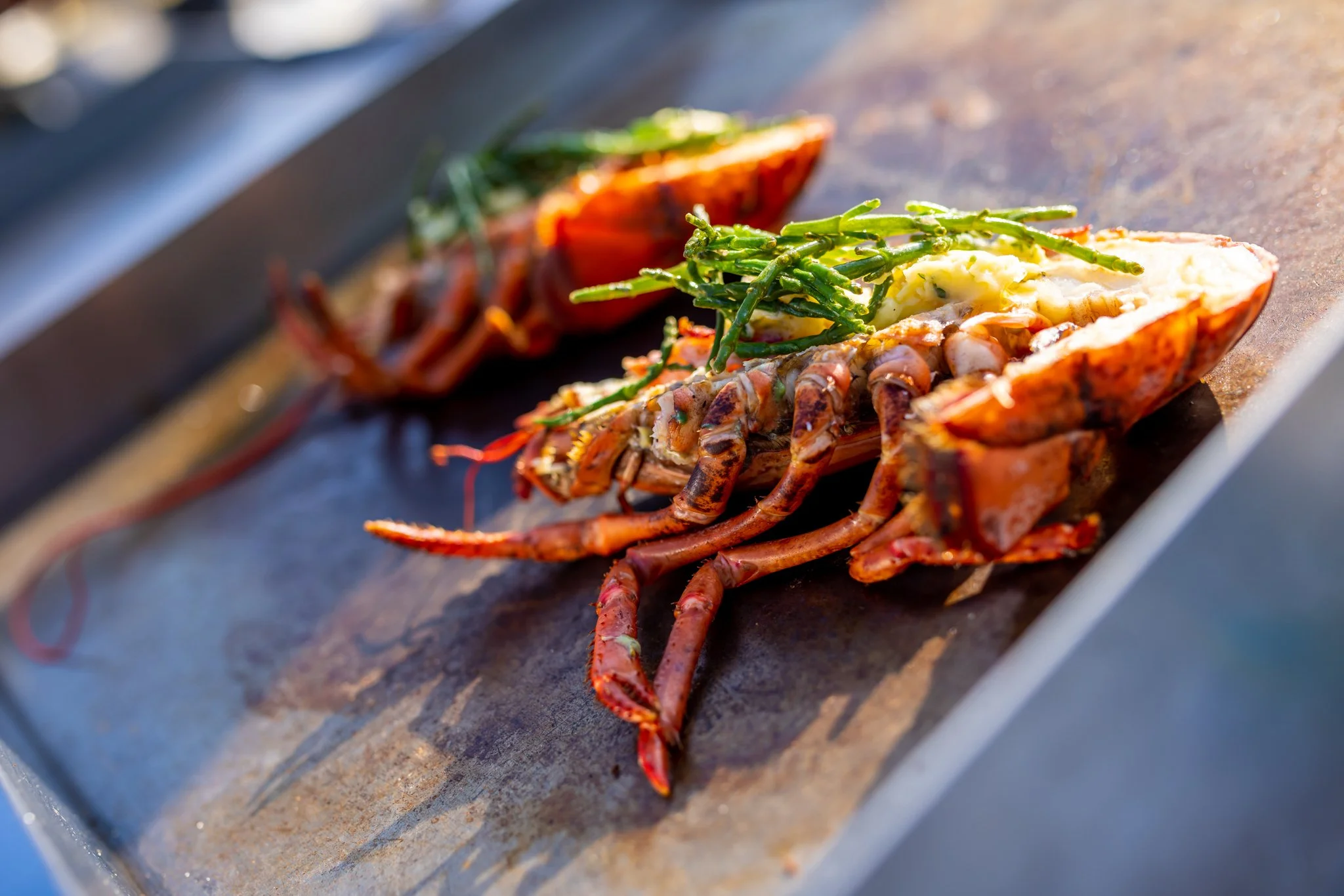 FDC 2023 Web-res 52.jpg