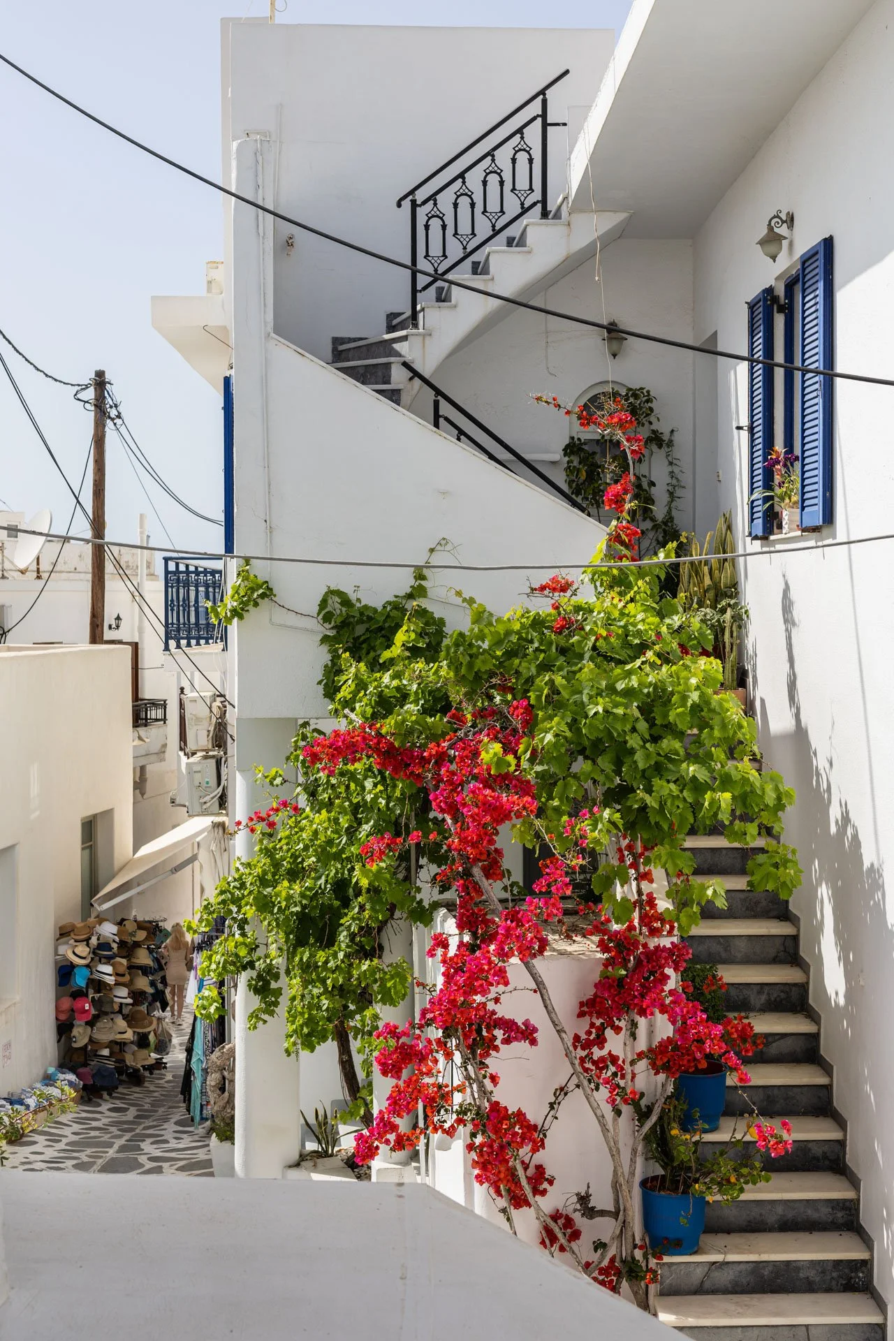 White building with black stairs and railings, blue window shutters, and vibrant pink and red flowering plants climbing up the side of the staircase.