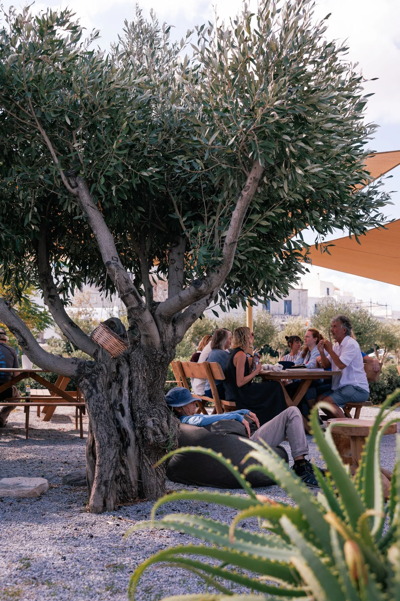 People sitting at a wooden table outdoors under a large tree with green leaves, engaged in conversation and dining, with some wearing casual summer clothing, in what appears to be a garden or outdoor patio setting.