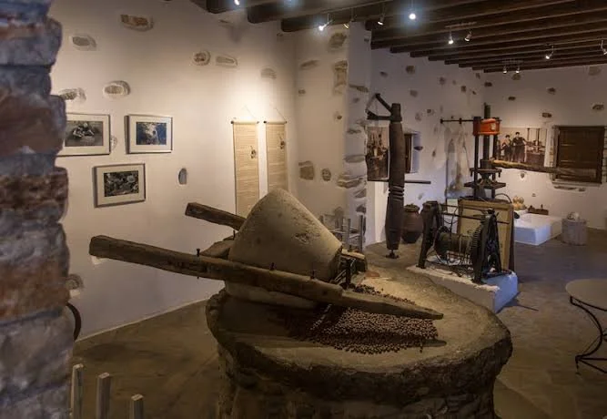Liquid Gold: Olive Oil and the Warm Heart of Naxos