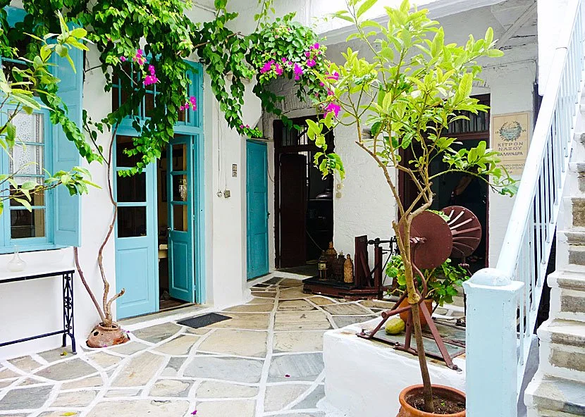 Kitron: The Naxos Liqueur You've Never Heard Of (But Will Never Forget)