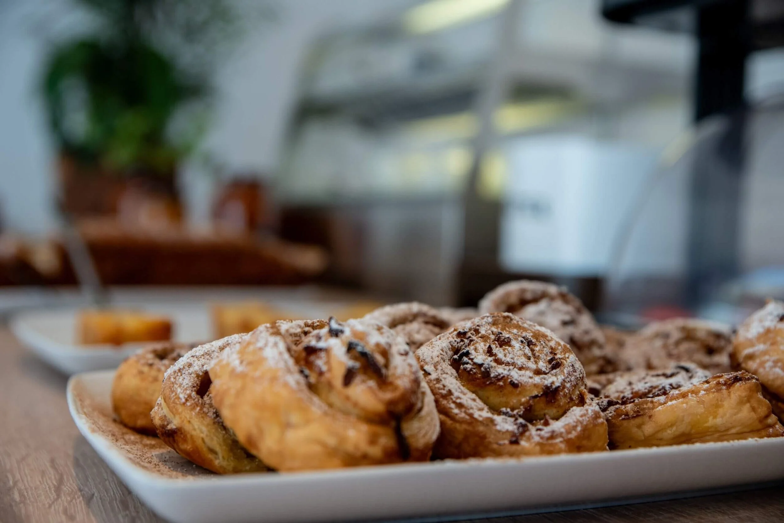 Plate of powdered sugar dusted cinnamon rolls with chocolate chips on a wooden table.