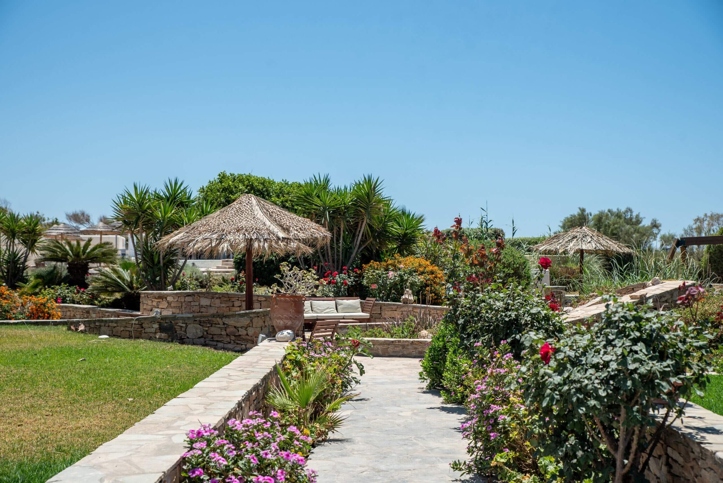 A garden with stone pathways, lush green plants, colorful flowers, two straw umbrellas, and a stone bench under the umbrellas, with a clear blue sky above.