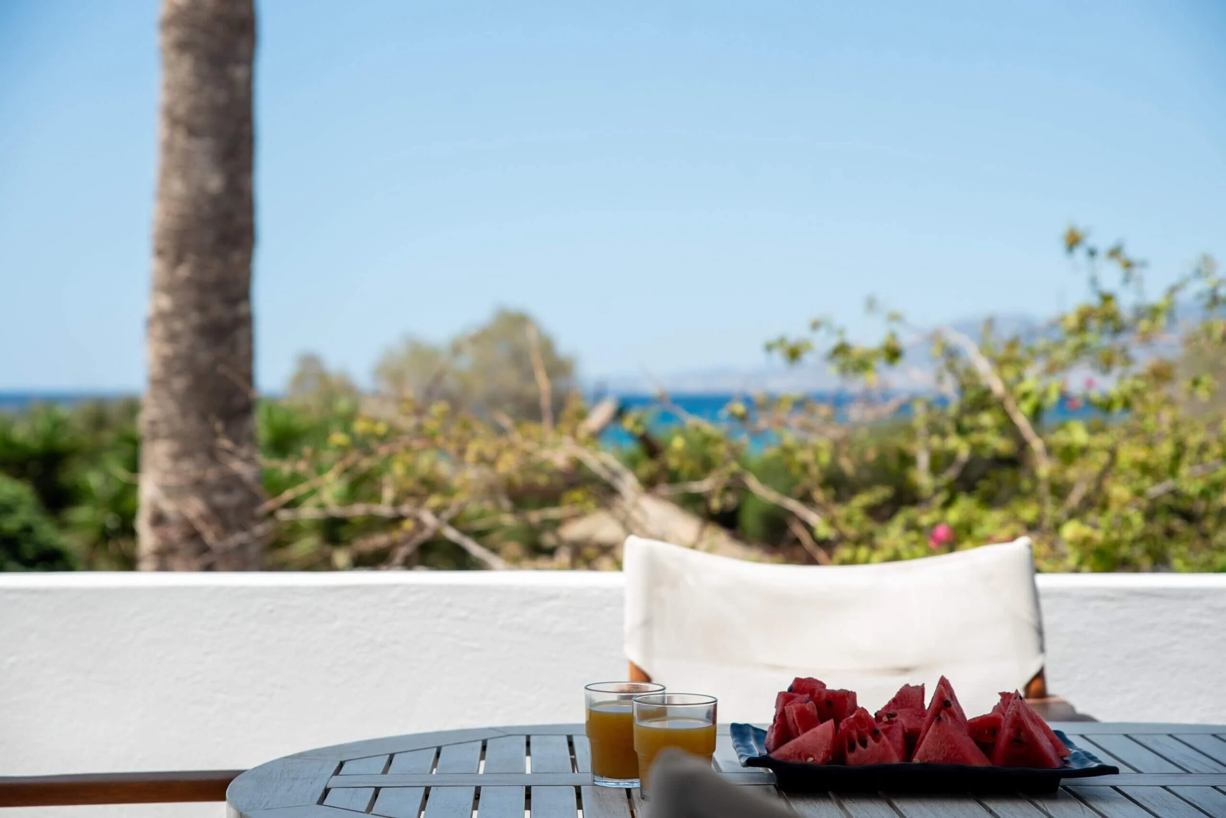 A table with sliced watermelon and two glasses of juice on an outdoor patio, with a blurred view of trees, bushes, and a blue sky in the background.