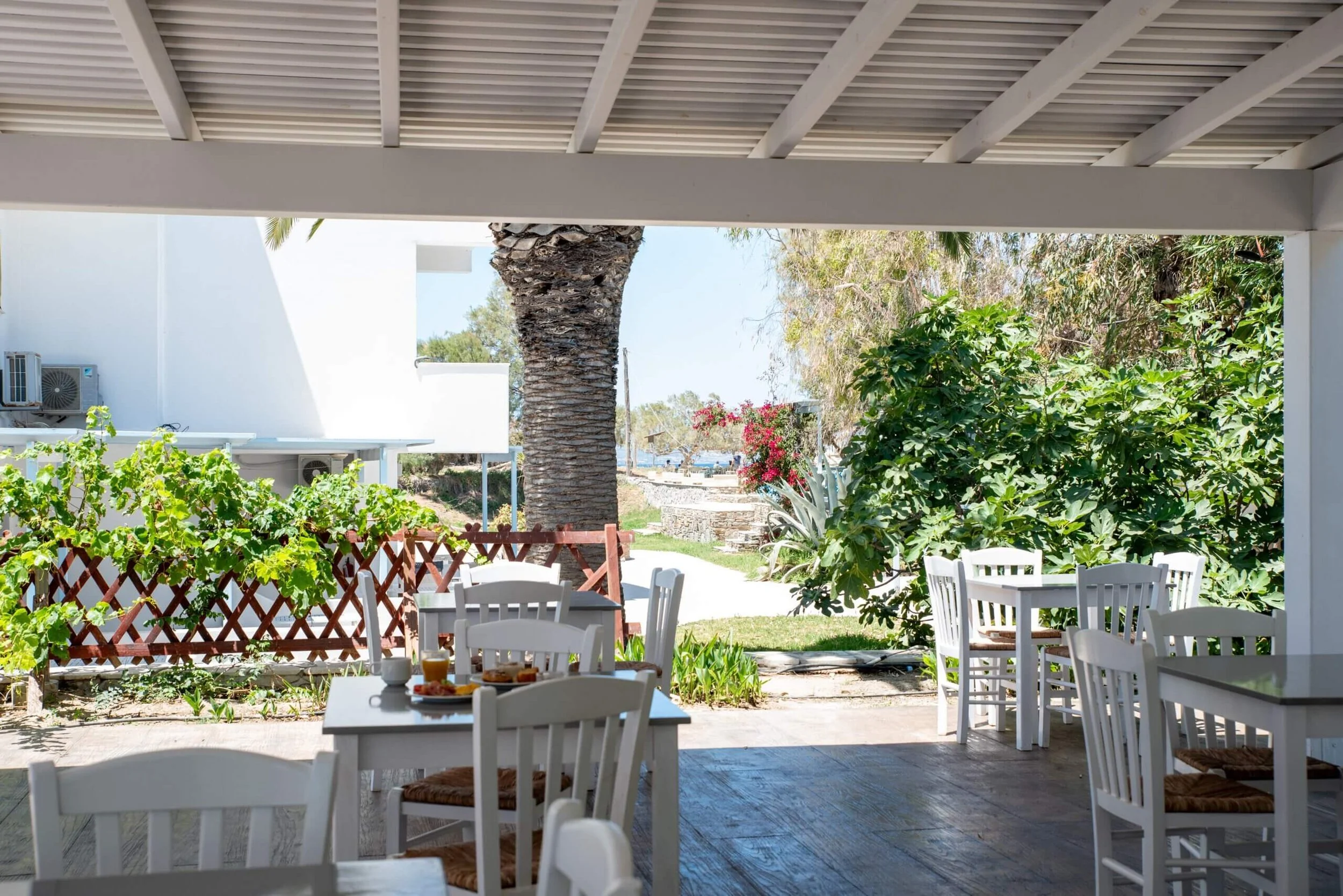 An outdoor patio with white chairs and tables set for breakfast, overlooking a garden with green plants, trees, and a pathway.