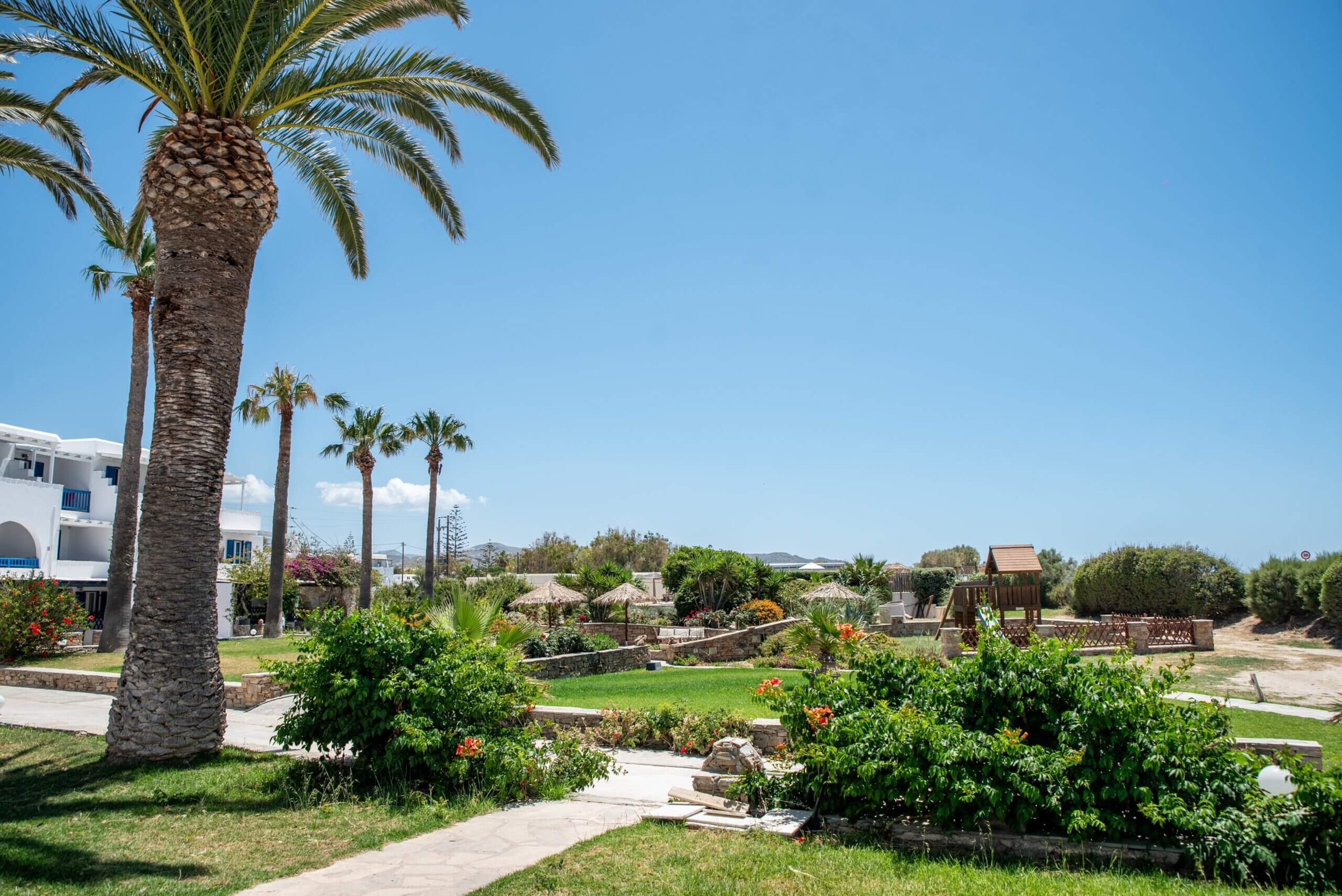 Tropical garden with palm trees, green shrubs, and a paved walkway under a blue sky.