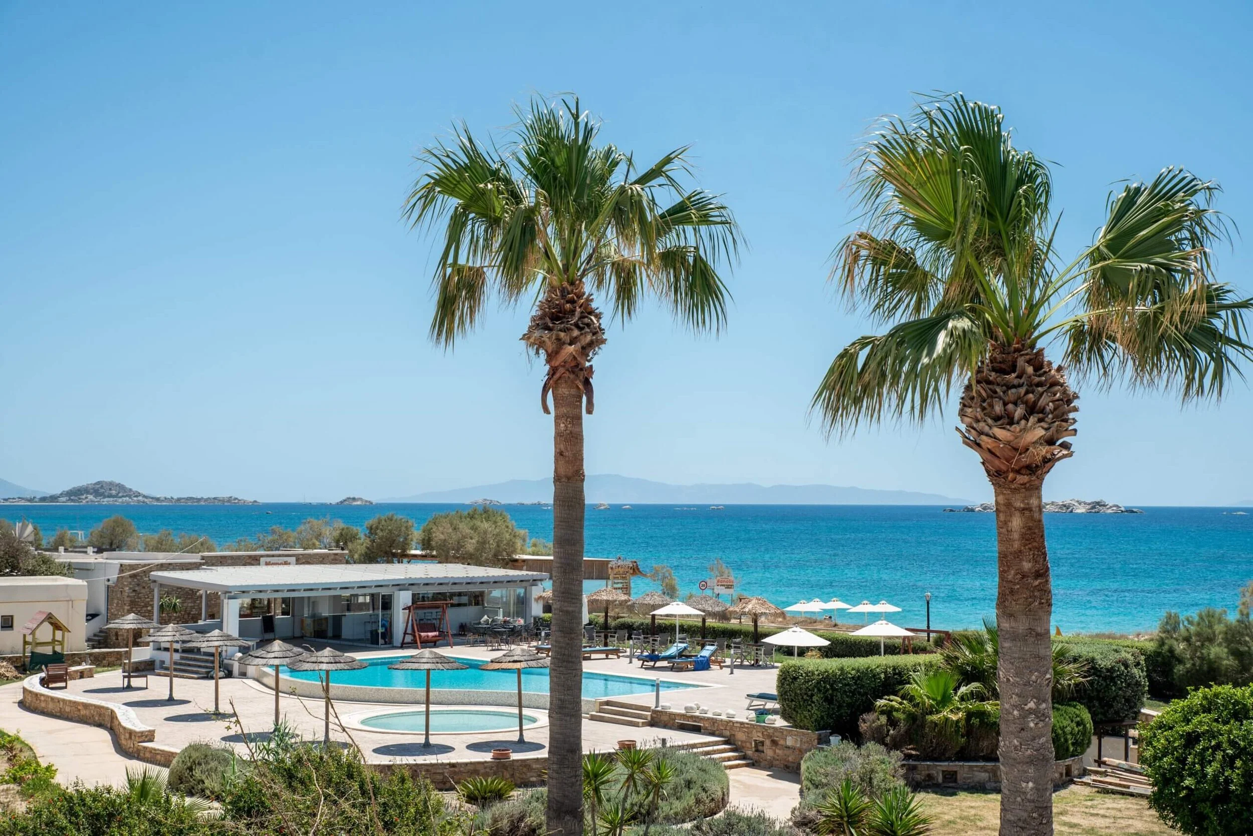 View of a tropical resort with two tall palm trees in the foreground, a swimming pool, a hot tub, umbrellas, lounge chairs, and the ocean in the background under a clear blue sky.