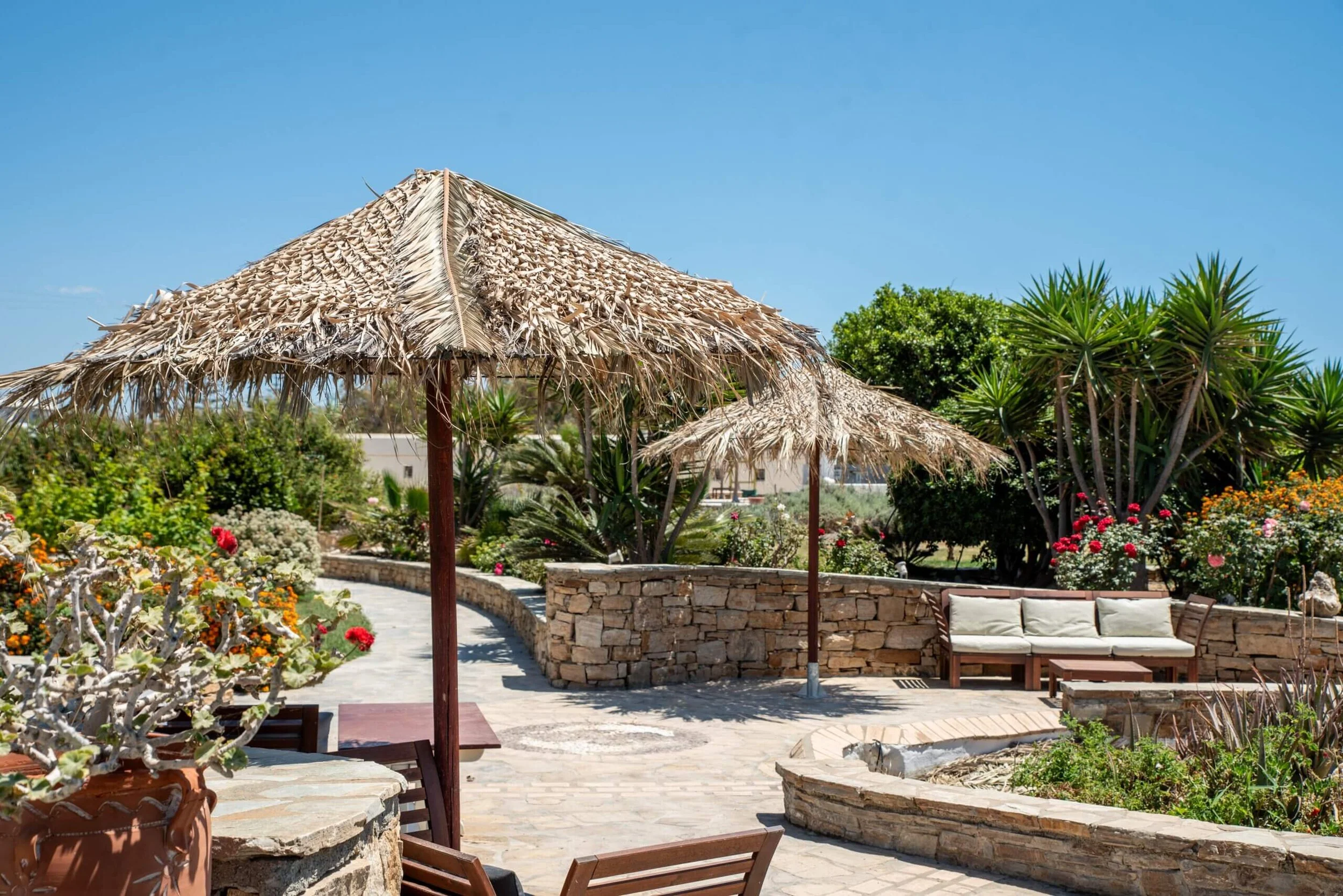A sunny outdoor garden with a stone pathway, two thatched umbrellas, a bench, and various flowering plants and bushes.