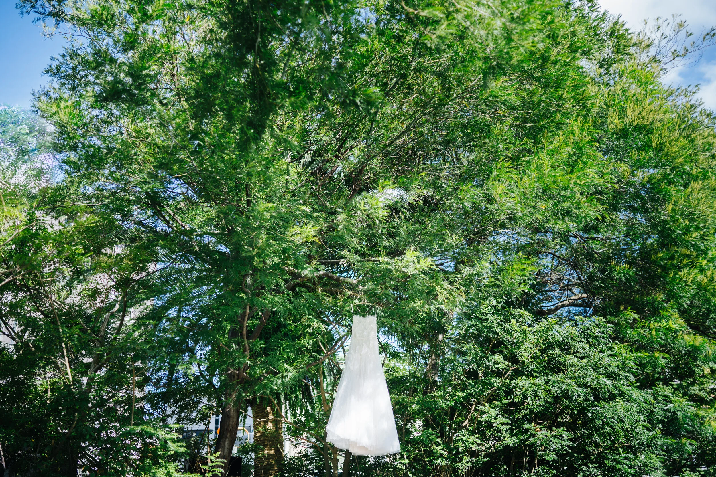 A tall tree with lush green leaves and a white cloth hanging from its branches, set against a partly cloudy sky.