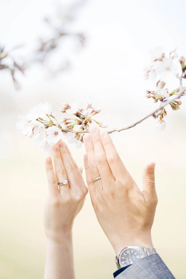 Two hands, a man’s and a woman’s, touch a cherry blossom branch, both wearing wedding bands. The woman’s hand is on the left with a large engagement ring, while the man’s hand, on the right, has a silver watch. The background is bright and blurred.