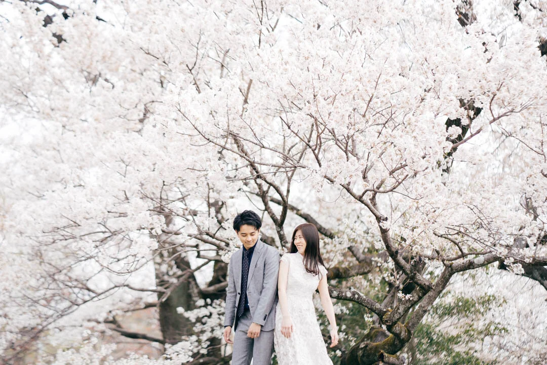 Young couple in formal attire walking under blossoming cherry trees