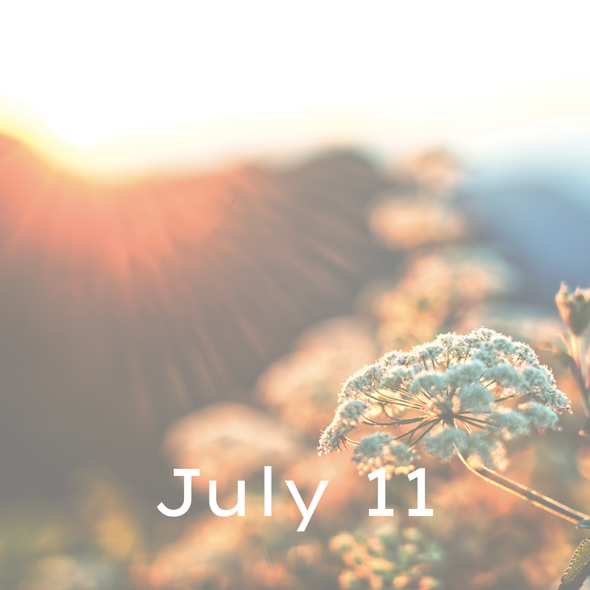 The July 11th Session