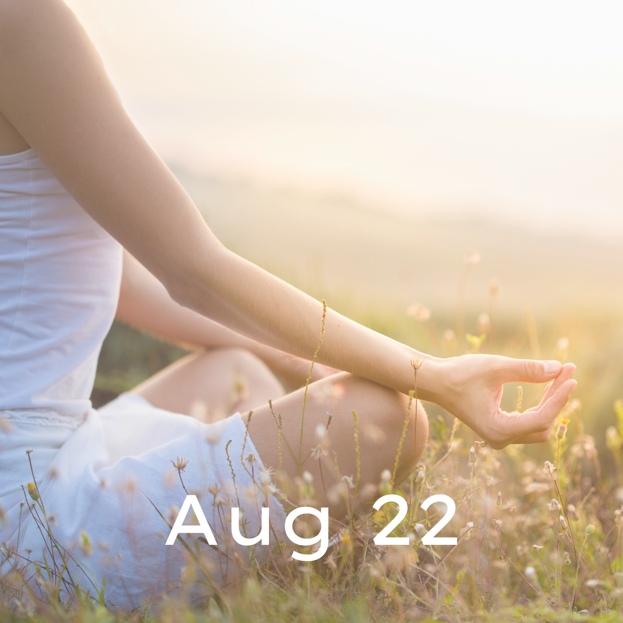 The August 22nd Session