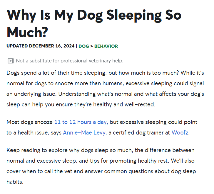 Rover article: Why Is My Dog Sleeping So Much?