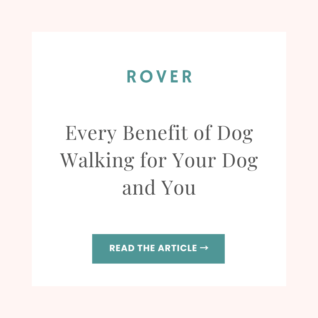 Rover blog article: The Benefits of Dog Walking