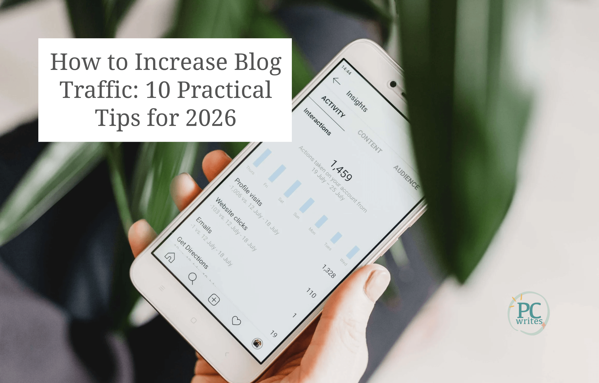 showing website traffic - to boost blog traffic for beginners