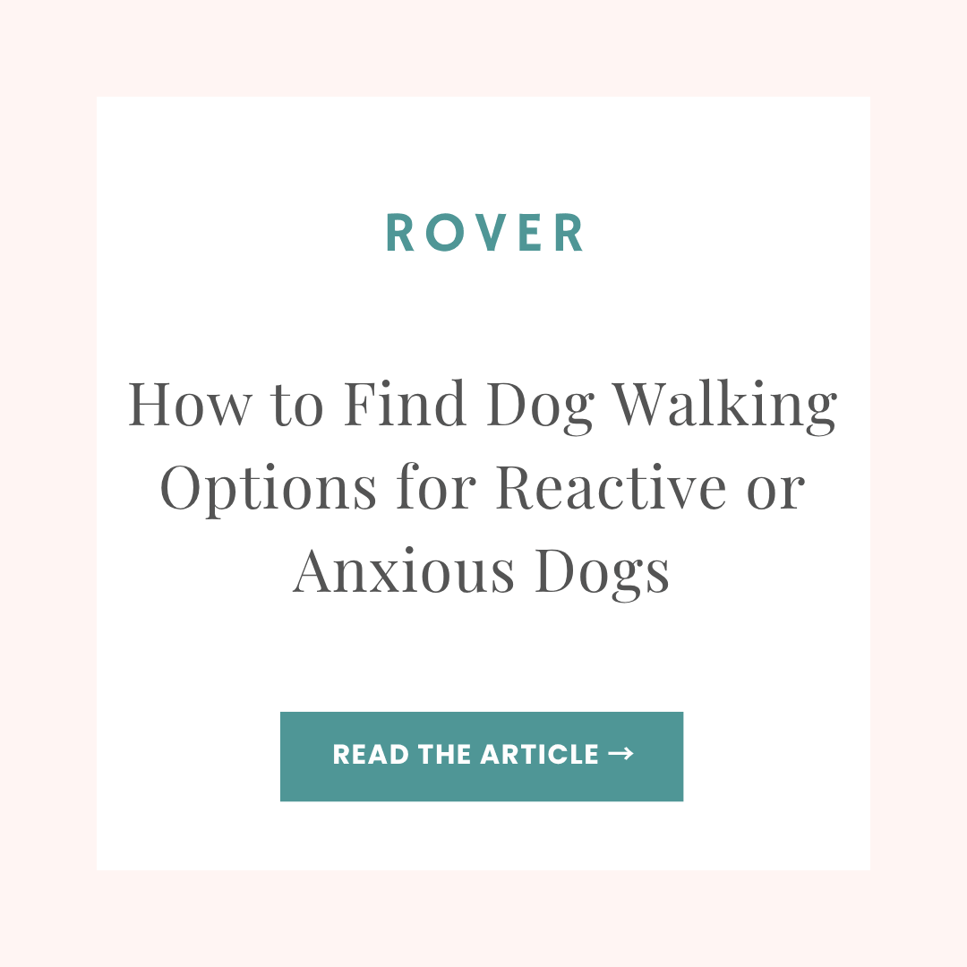 Rover blog article: Finding a Dog Walker for an Anxious or Reactive Dog