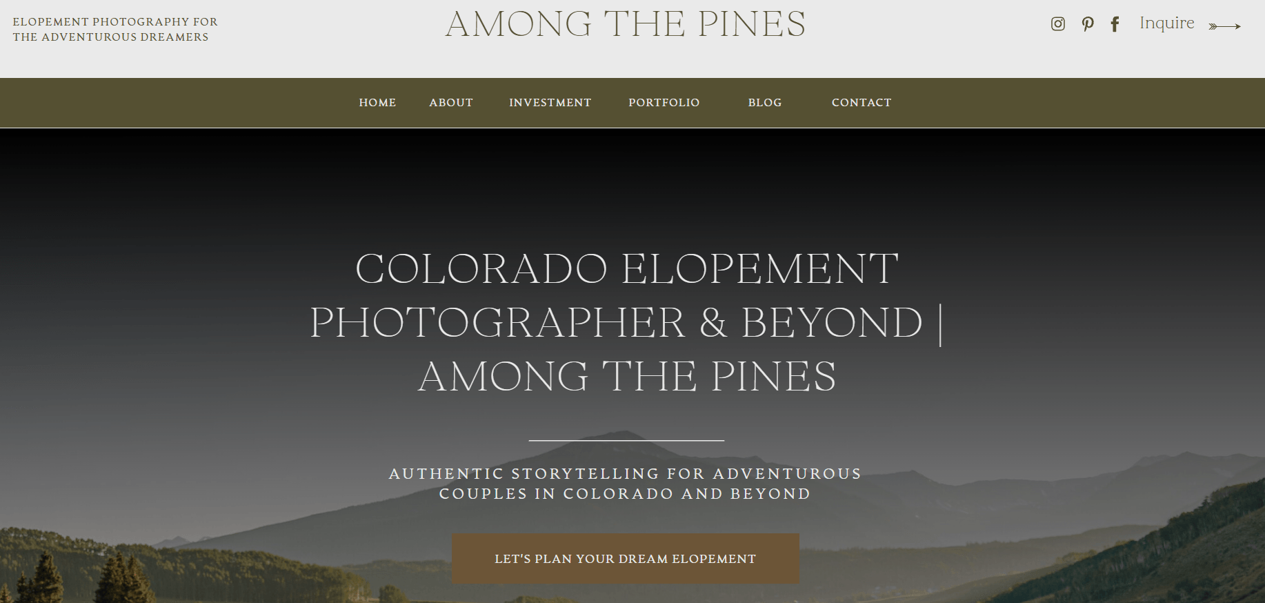 Example of SEO for service-based business with image of Among the Pines Photography landing page.