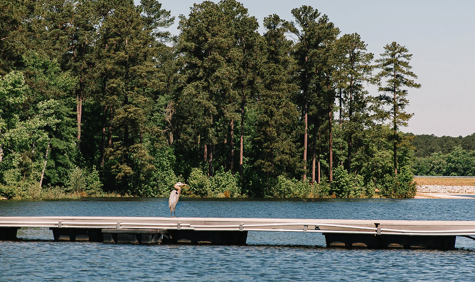 Contact Soap Creek Marina — Soap Creek Marina