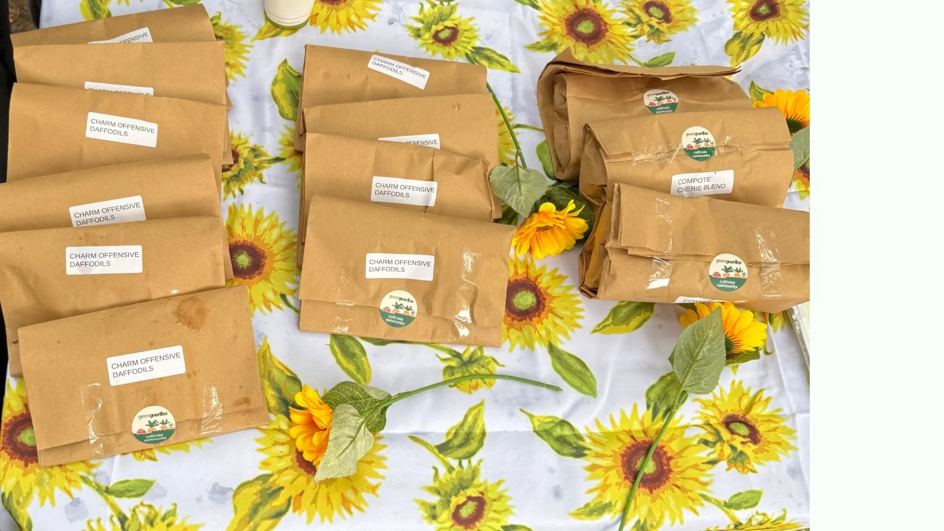 Untitled design (28).jpg