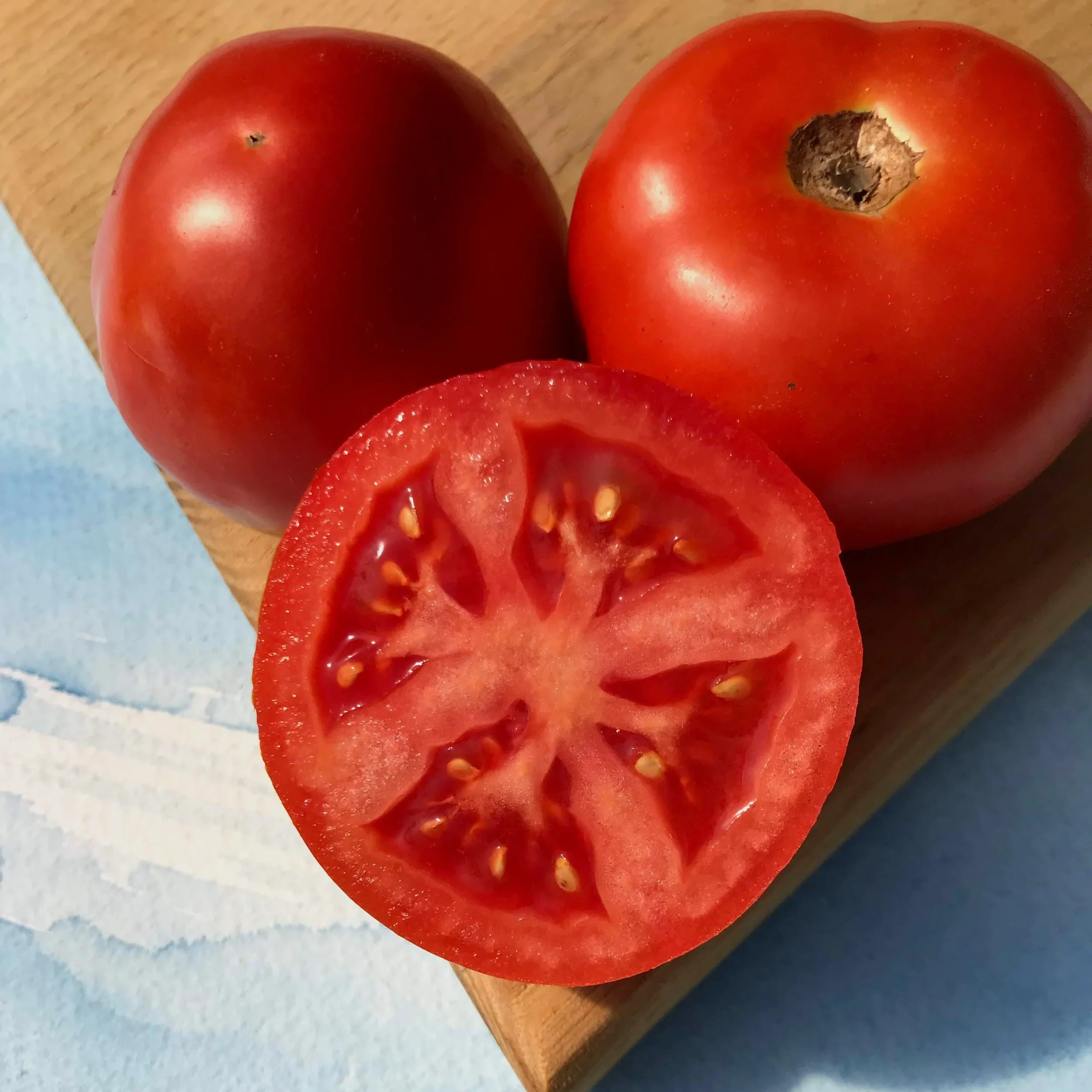 Jersey Breeze Tomato