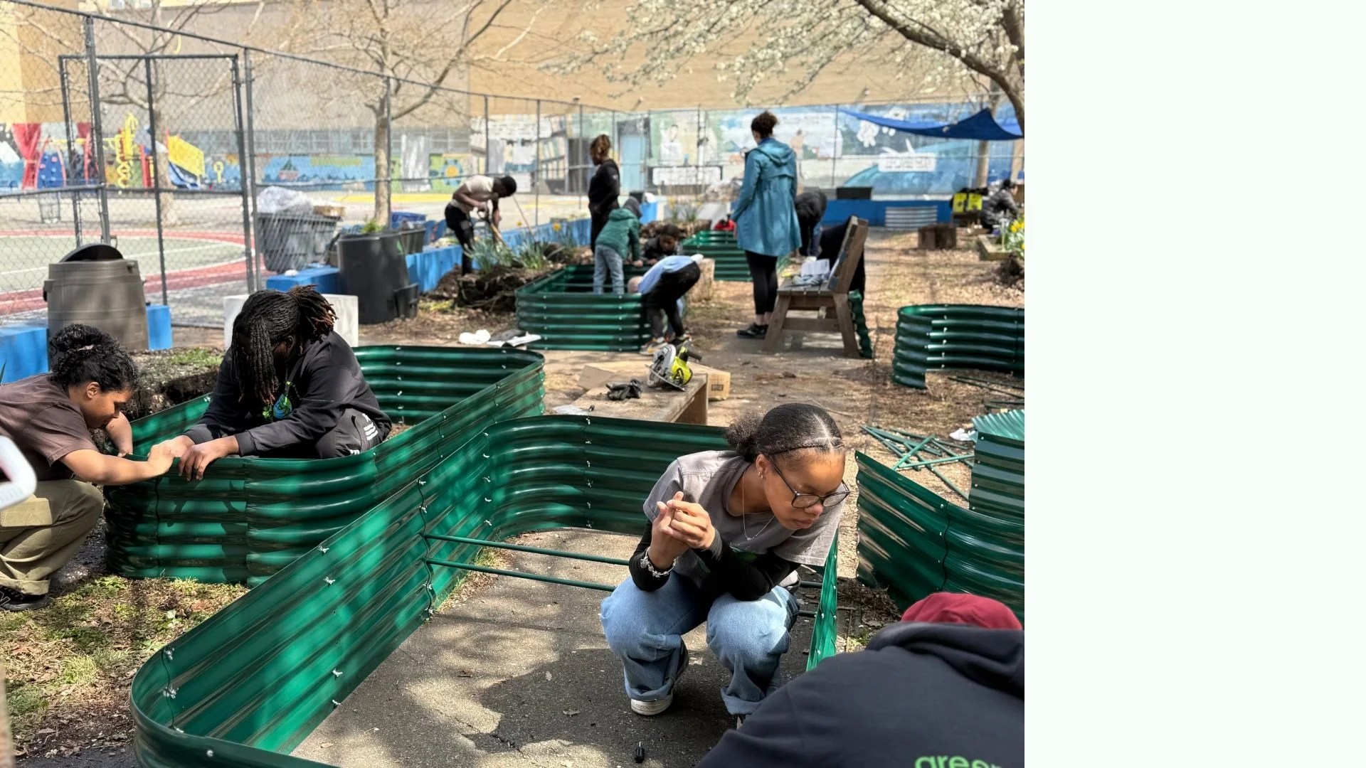 Untitled design (27).jpg