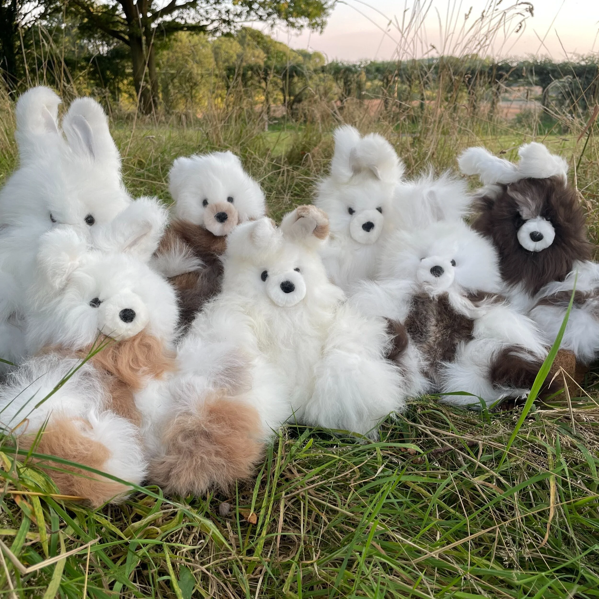 ALPACA PRODUCTS
