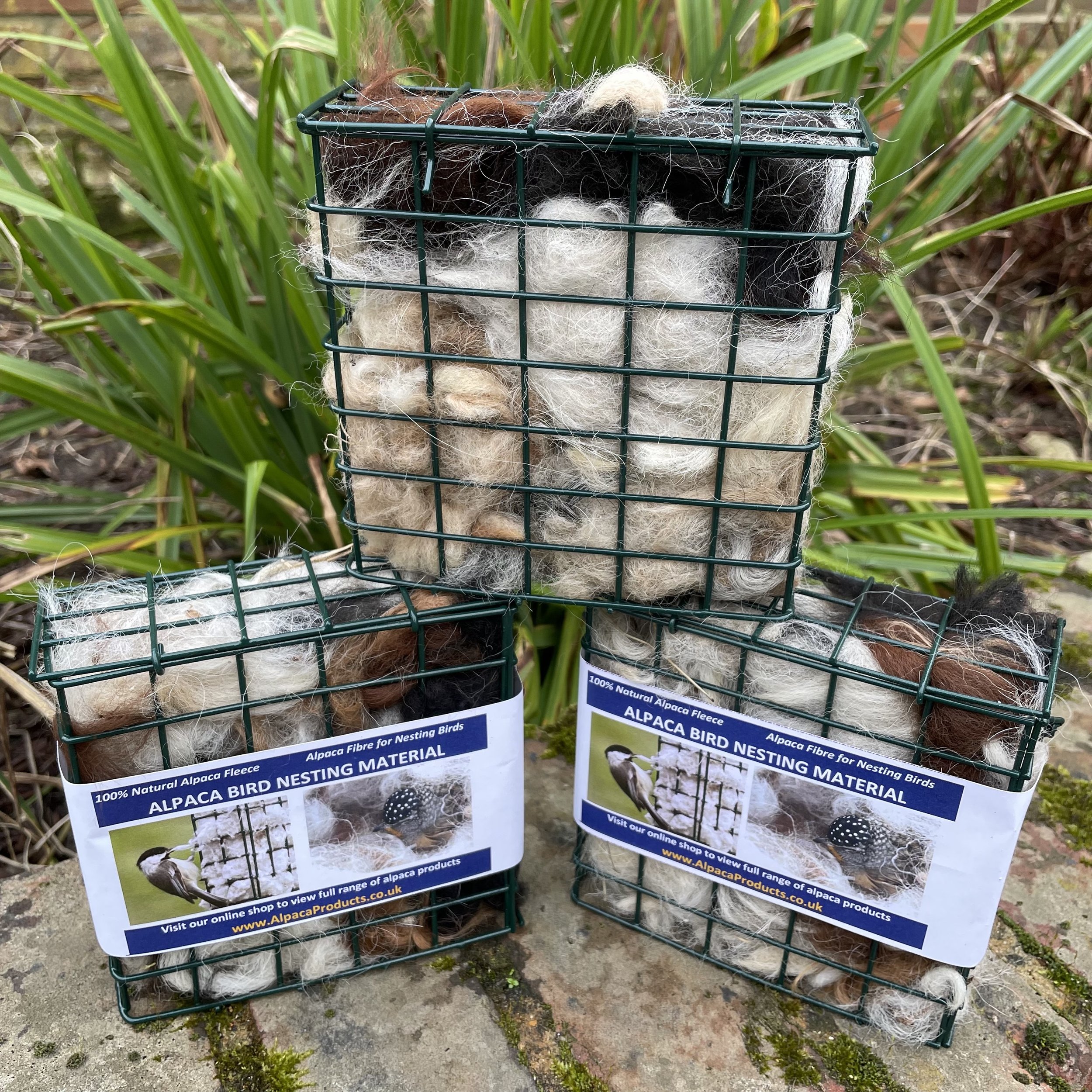 Bird nesting in square holder1.jpg