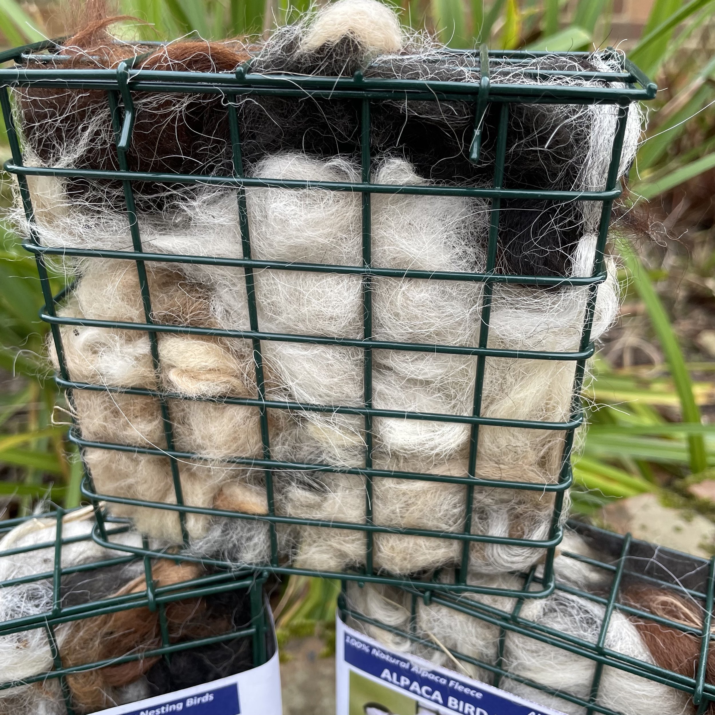 Bird nesting in square holder2.jpg