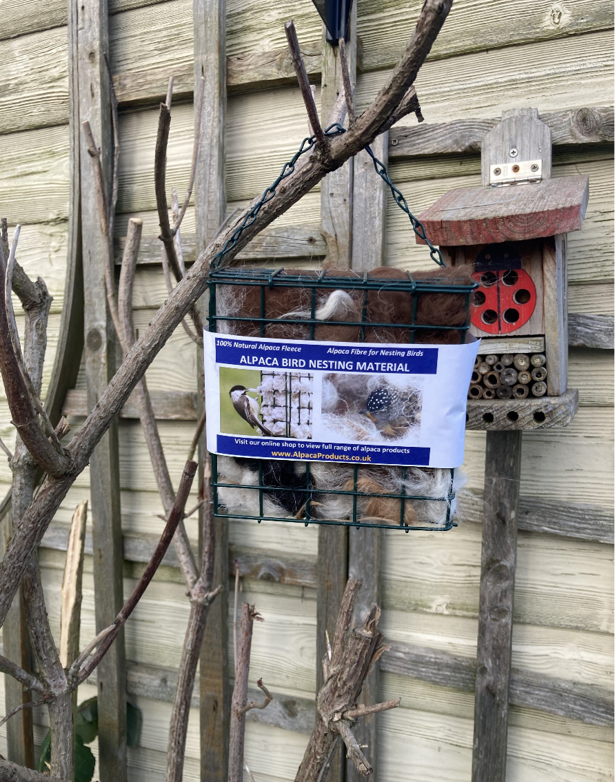 bird nesting material in square holder 14.png
