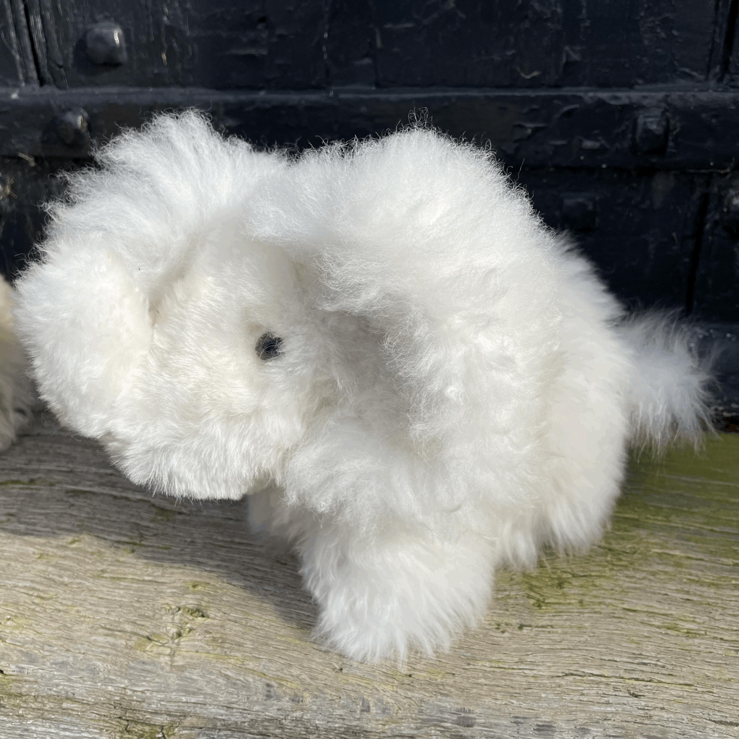 tempImagegx72vE.gif