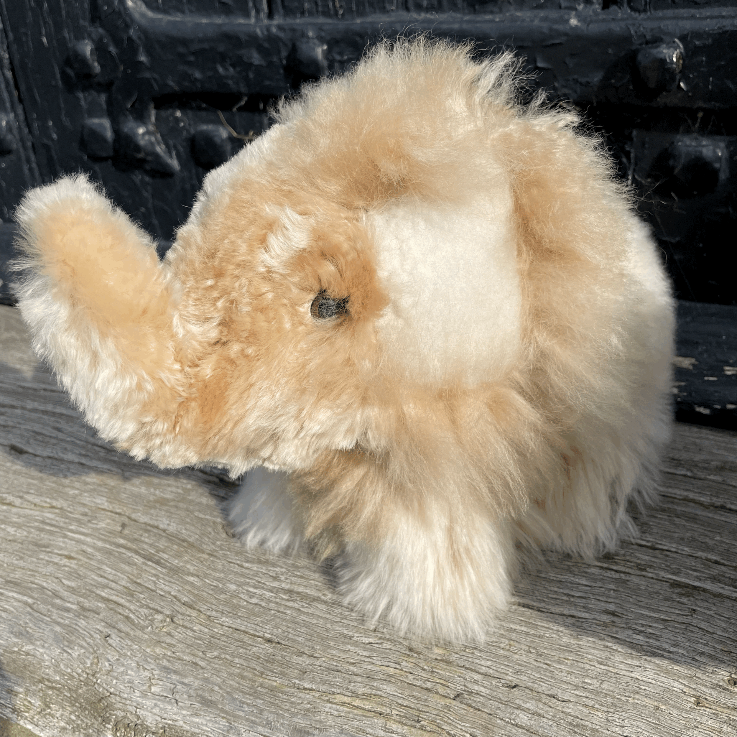 tempImageJuNZK9.gif