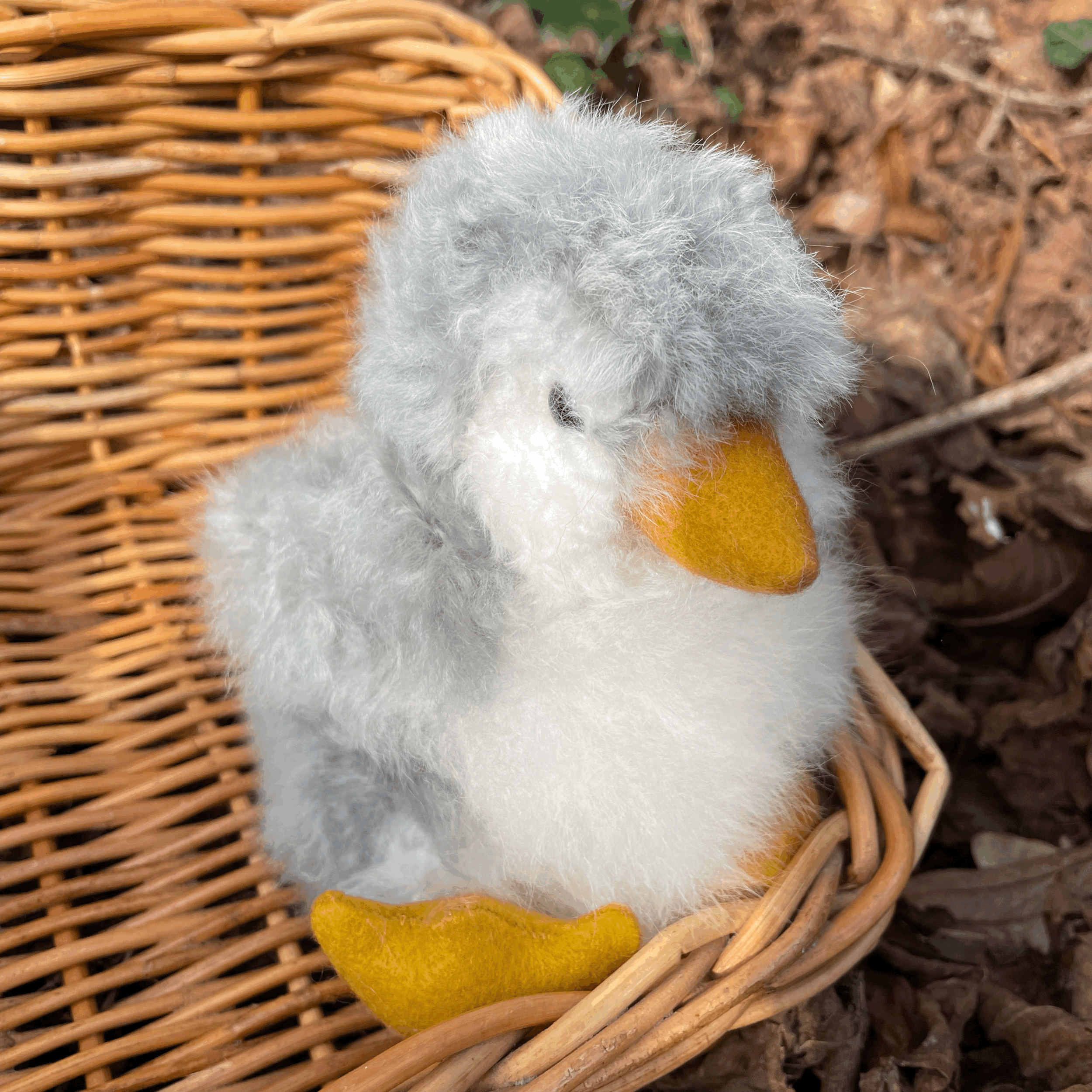tempImageEB16C3.gif