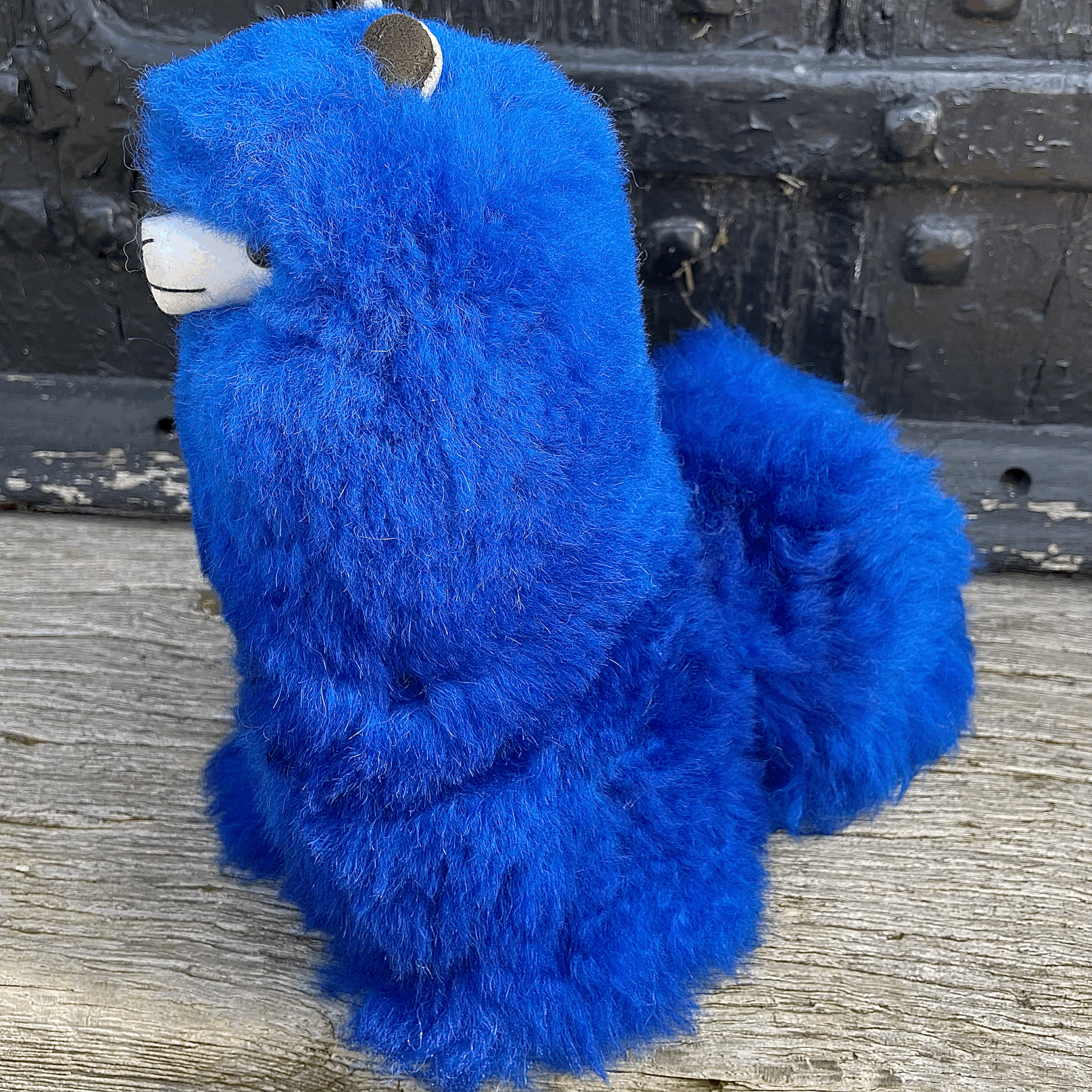 tempImagewDj5iT.gif
