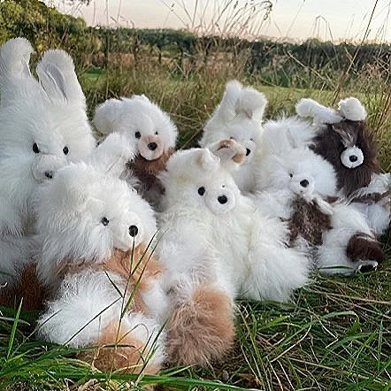 ALPACA PRODUCTS
