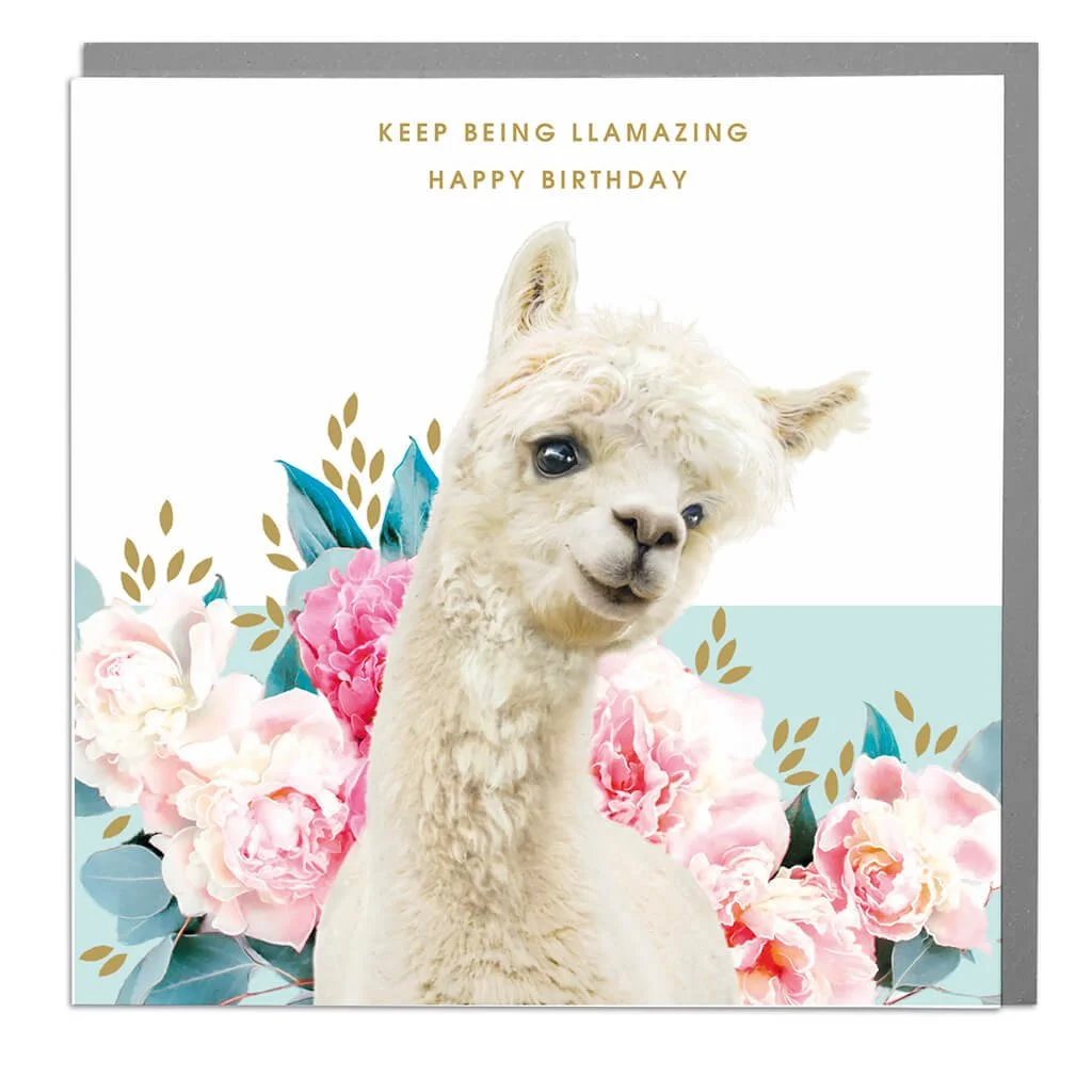 Alpaca Llama Birthday Card.jpg