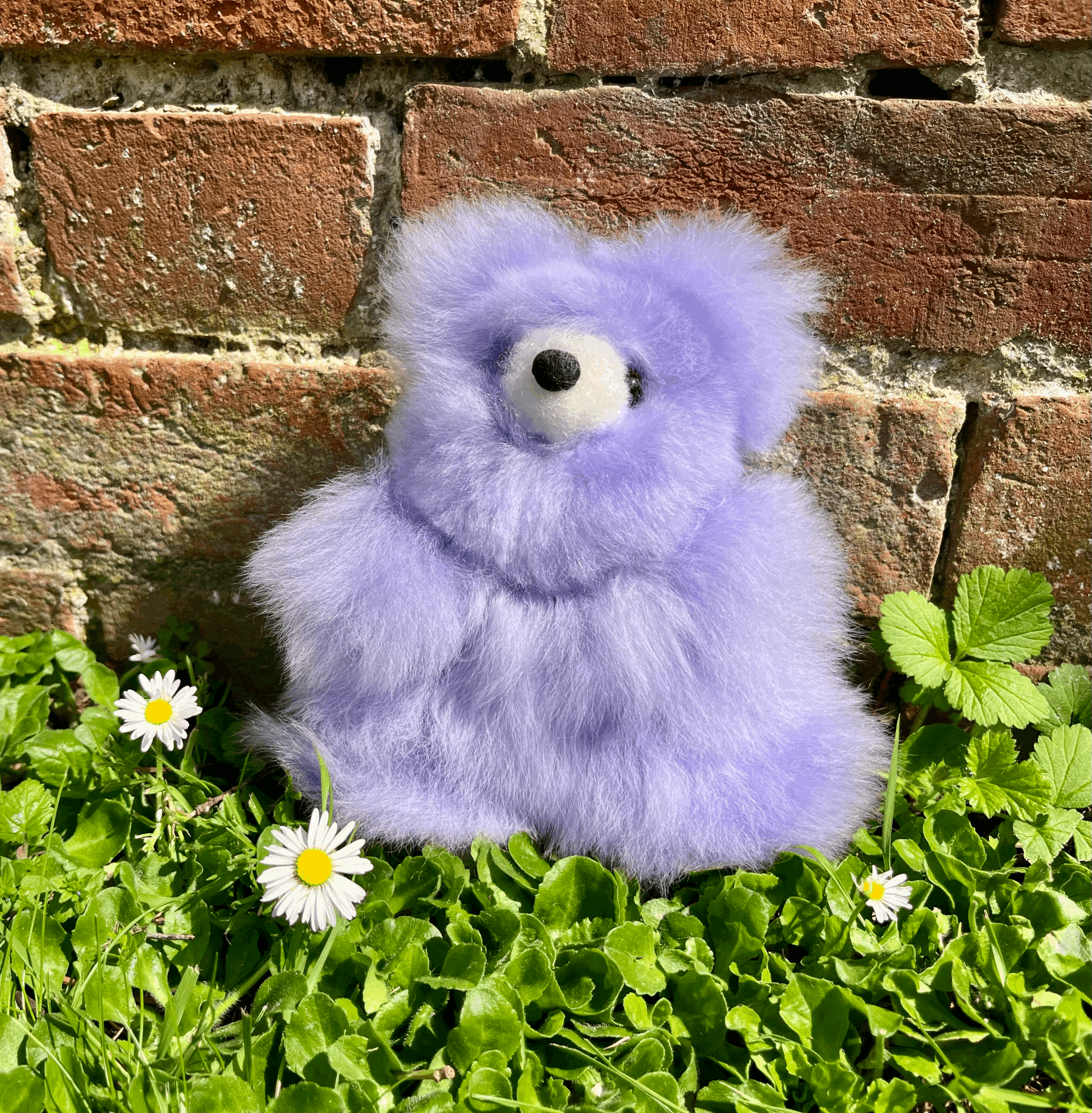 tempImageWRcQh9.gif