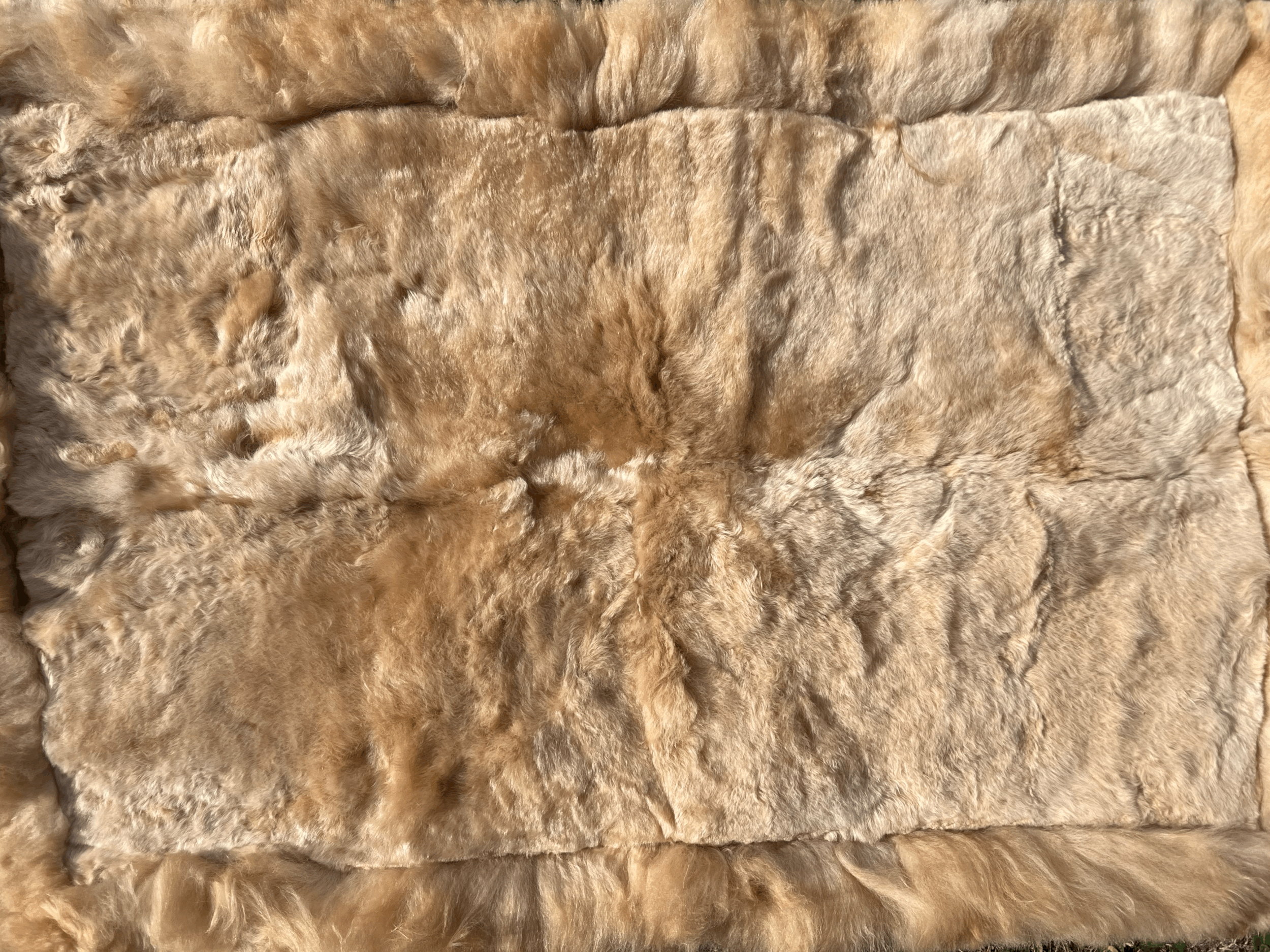 tempImageV37PX5.gif