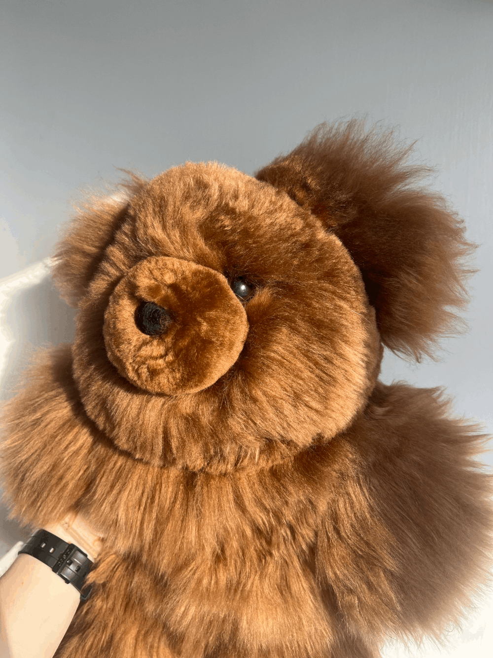 Huge Cuddly Alpaca Teddy Bear — ALPACA PRODUCTS