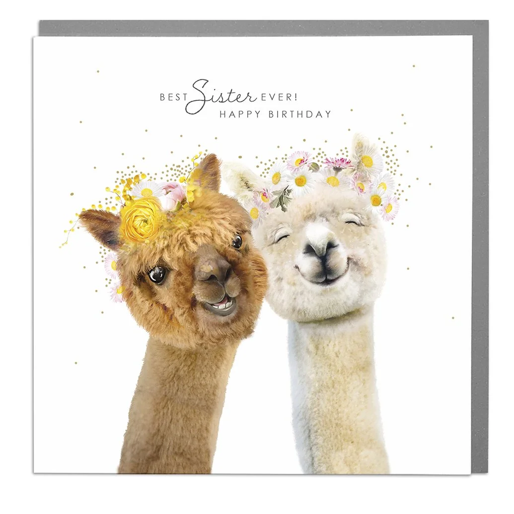 Alpaca Birthday Card for Sister.jpg