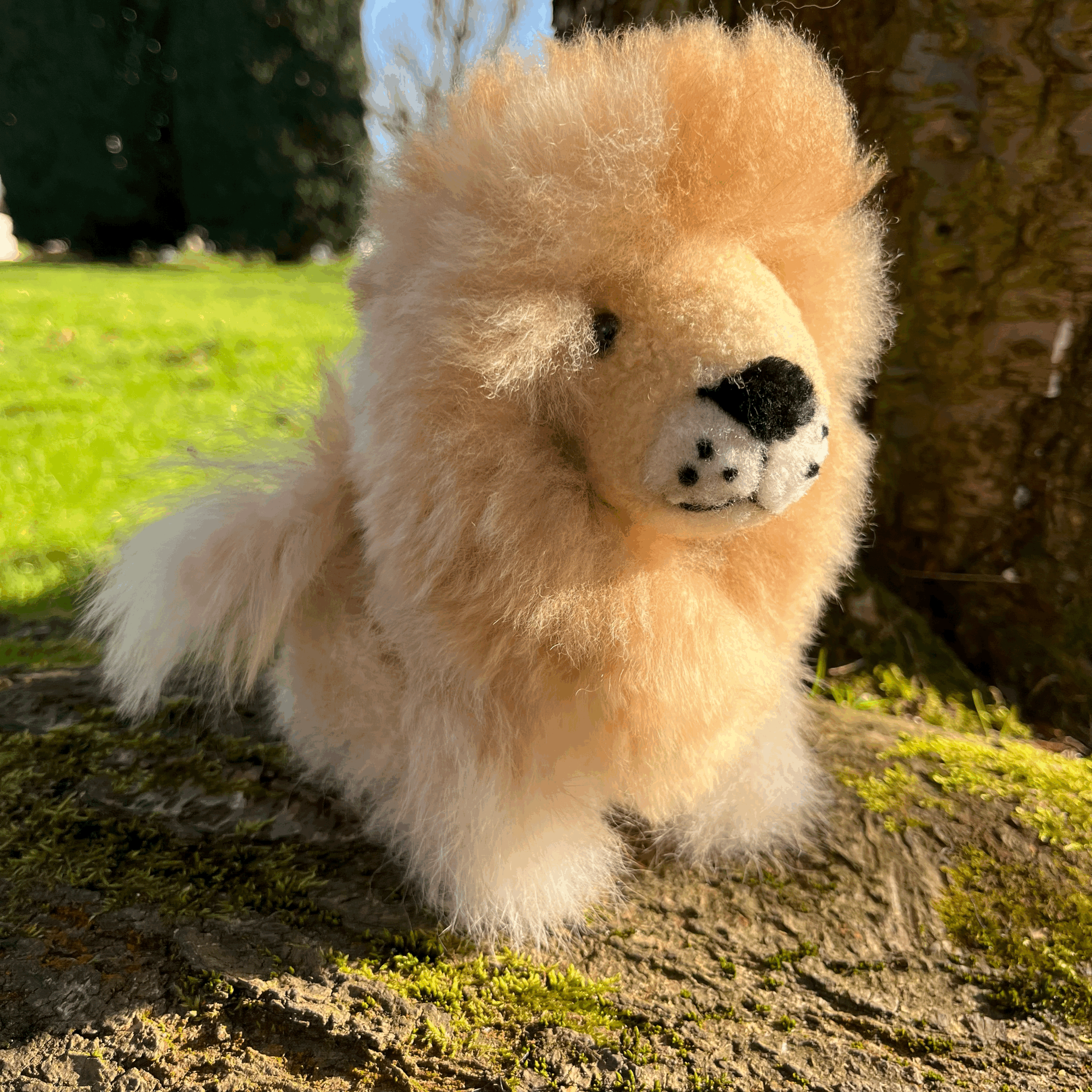 tempImageh0mxh8.gif