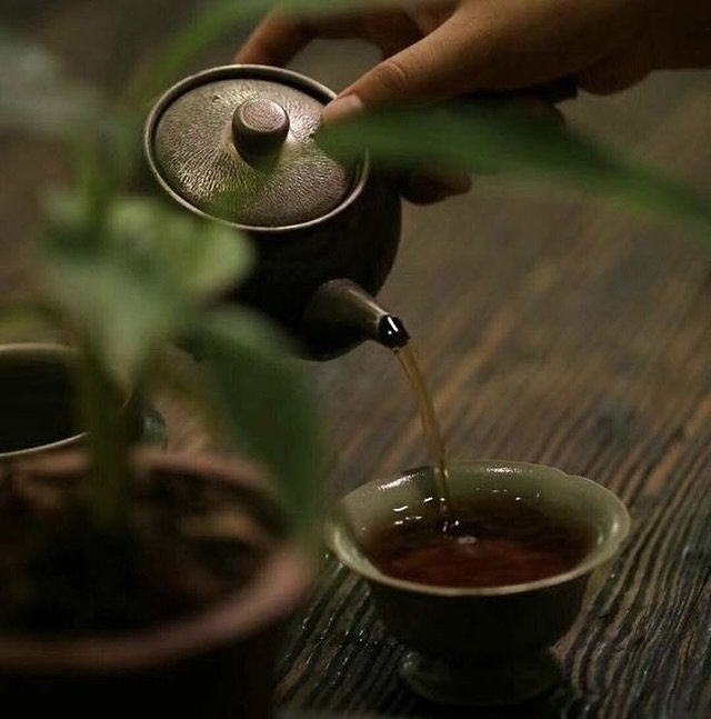 Create a tea ceremony using seasonal plants to clear space and slow down. I return to the nettle once again as a plant we all have access, springing up in nature right now that can help alkanise and clear our bodies of toxins as we transition into th