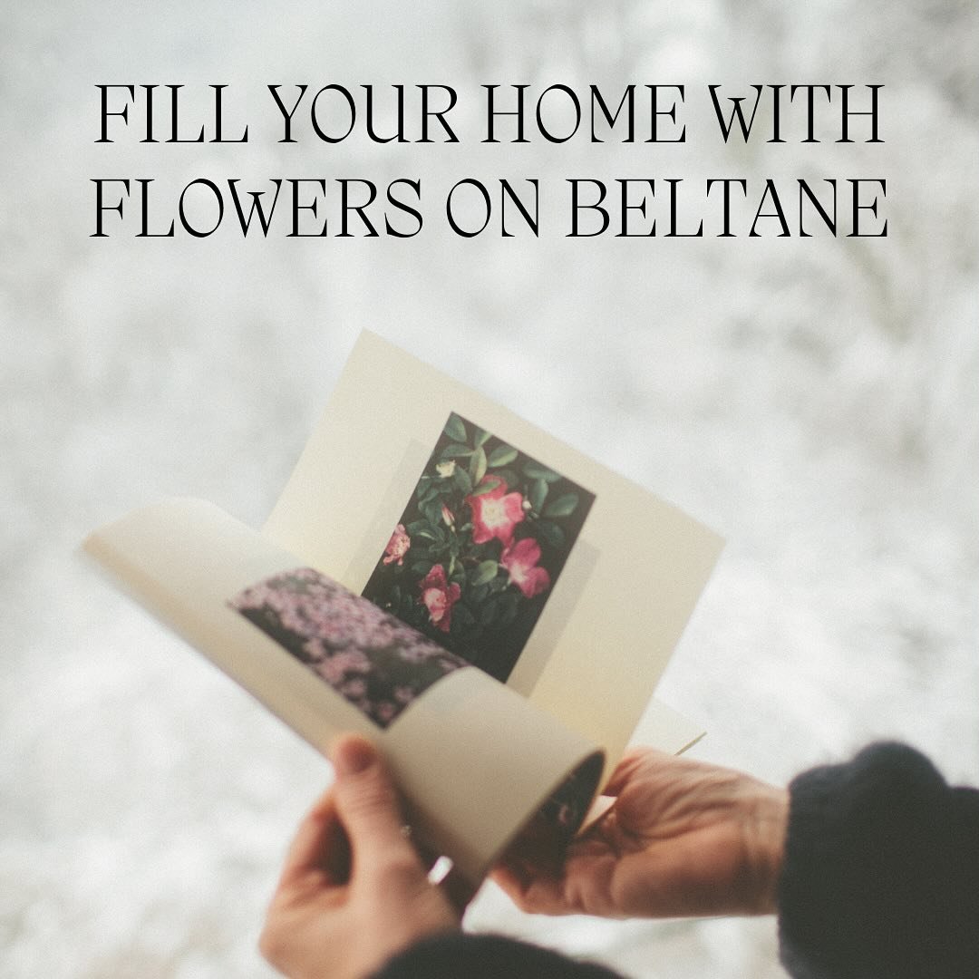 BELTANE 

The word Beltane comes from Celtic Baal or Bel which means Bright One and marks the mid point between the spring equinox and the summer solstice. It is the turning point of the year, as bleak landscapes make way definitively for the green b